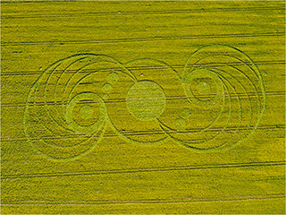 0000131-crop-circle-01-320